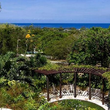 Villa Elsewhere Holetown Ngoại thất bức ảnh